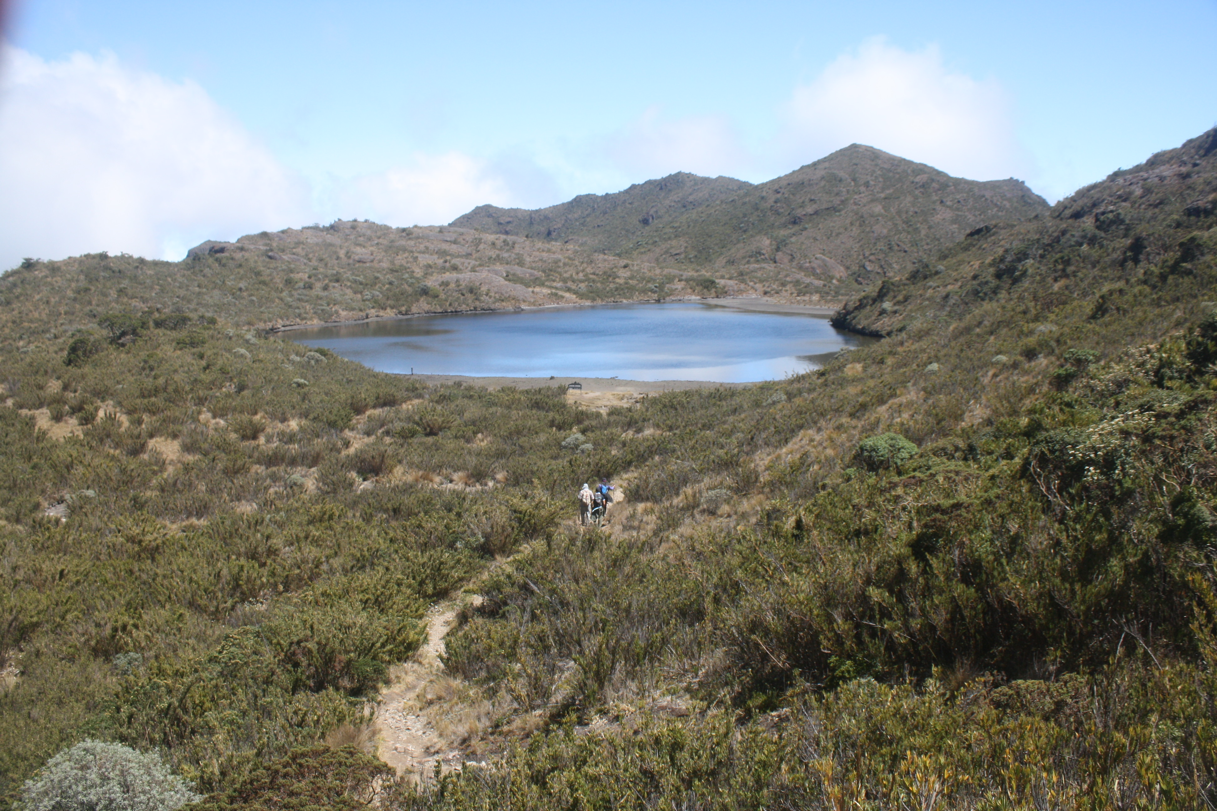 Parque Nacional Chirripó 01.jpg